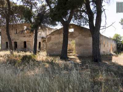 Riprendiamo la provinciale e dopo cinquecento metri usciamo a Parco Adria, per poi imboccare la piccola �strada detta delle Monache�, che ci porta praticamente in campagna. Ci facciamo largo tra la vegetazione fino a incontrare due costruzioni �fantasma� senza tetto, porte e finestre, circondate da alti alberi di pino